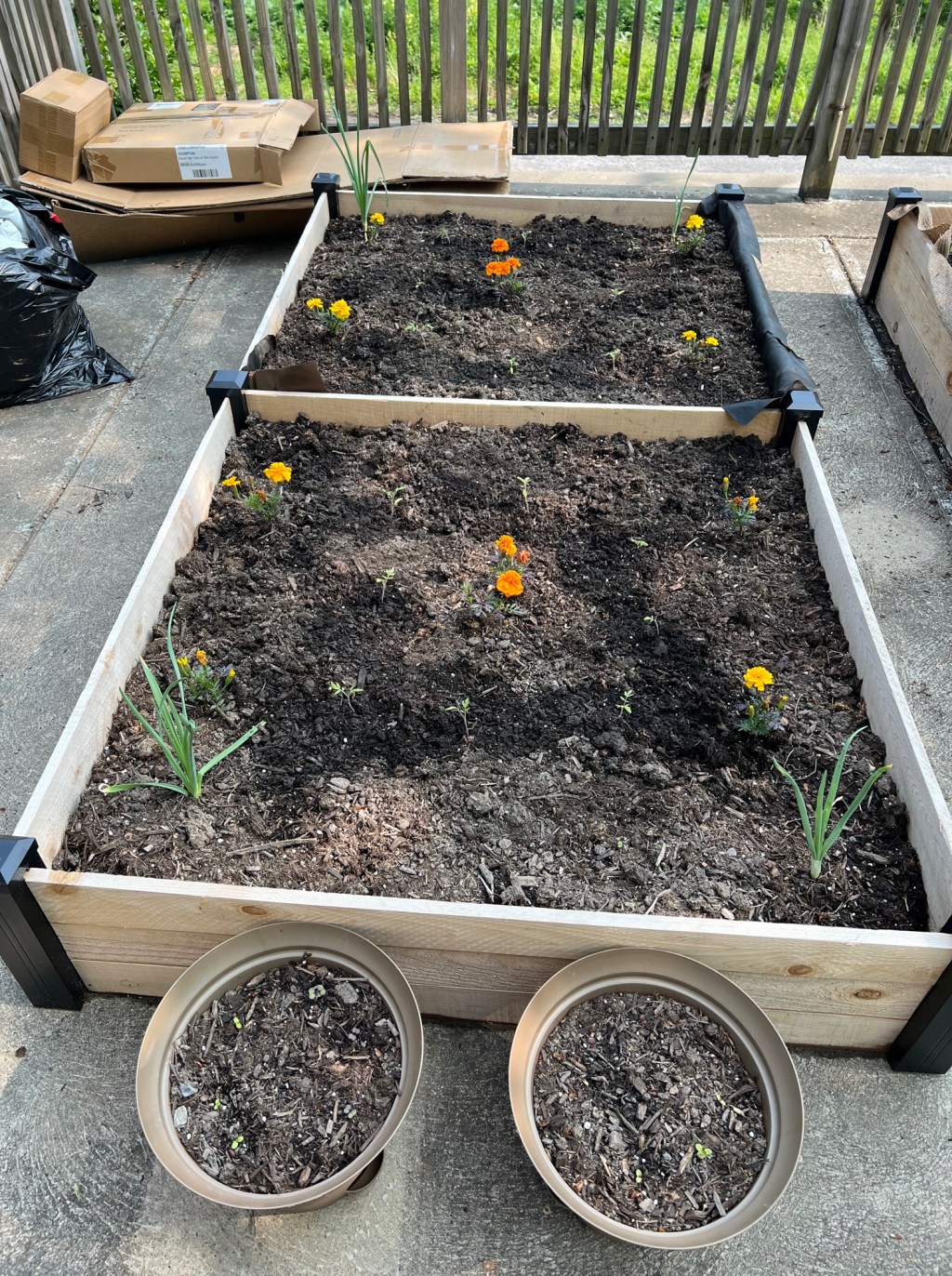 Mid-May Garden Update