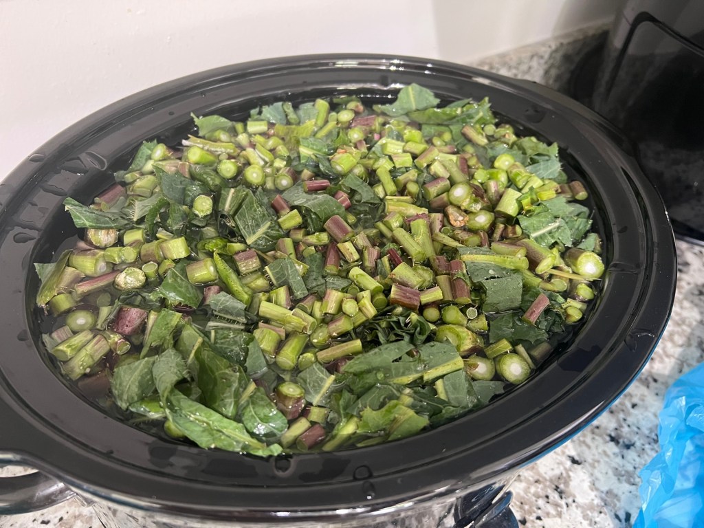 We Finally Found Wild&nbsp;Lettuce!