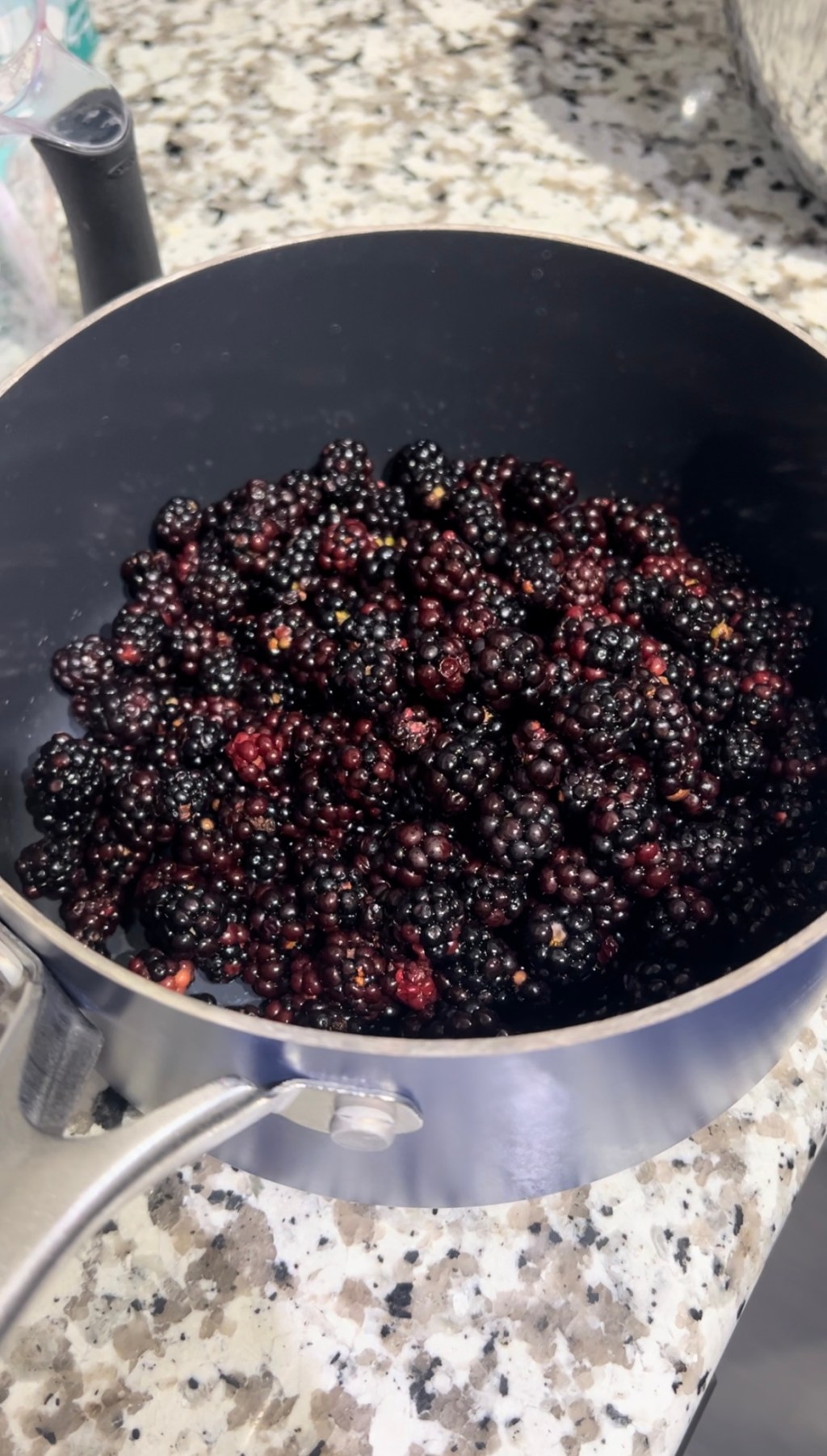 Three-Ingredient Wild Blackberry Jam