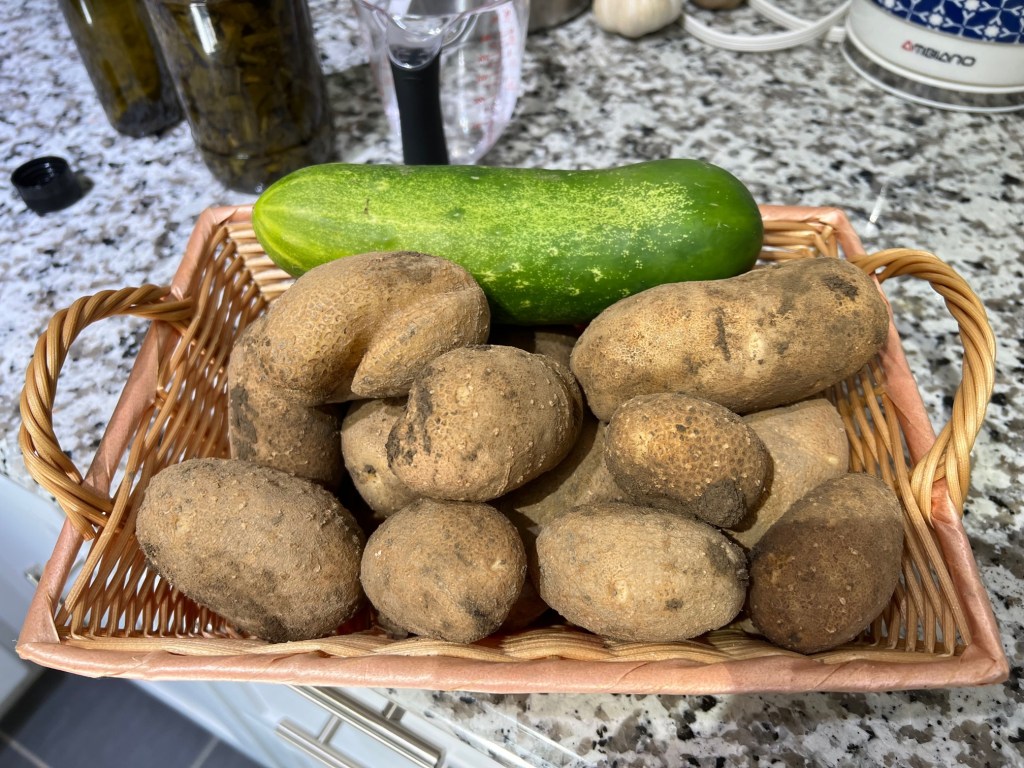 August Garden Update!