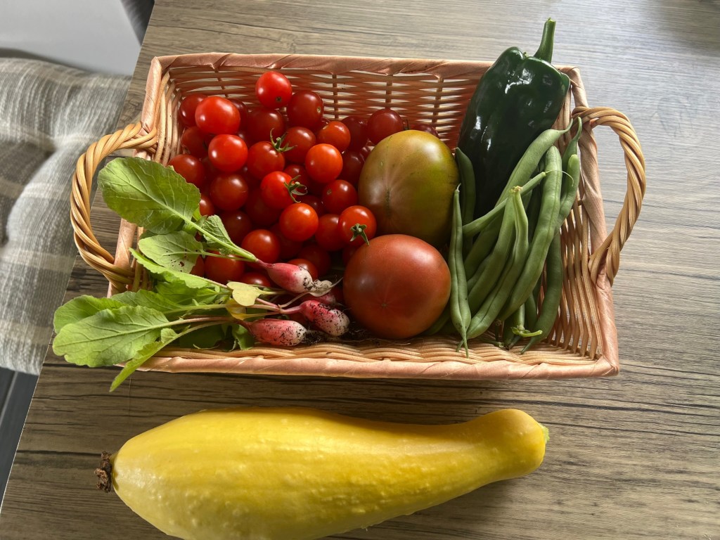 September Garden Update